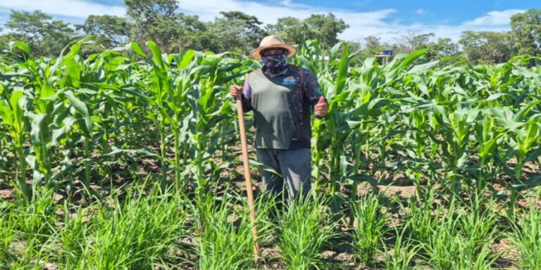 TOCANTINS FOTO 1 19JAN